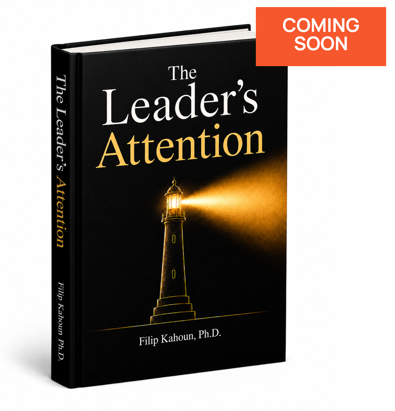 LEADER¨S ATTENTION